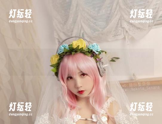 “猫田圣奈奈”的猫娘、椰子女仆大集合，免费陪你玩，再说一遍免费哦，嘿嘿！